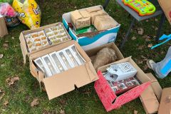 IMG-20241214-WA0031